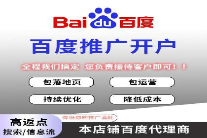 某电商企业如何利用百度搜索推广提升销售额